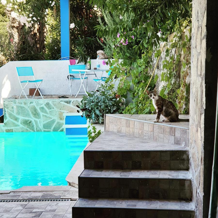 Apartment Bradex Dreams Bečići Buitenkant foto